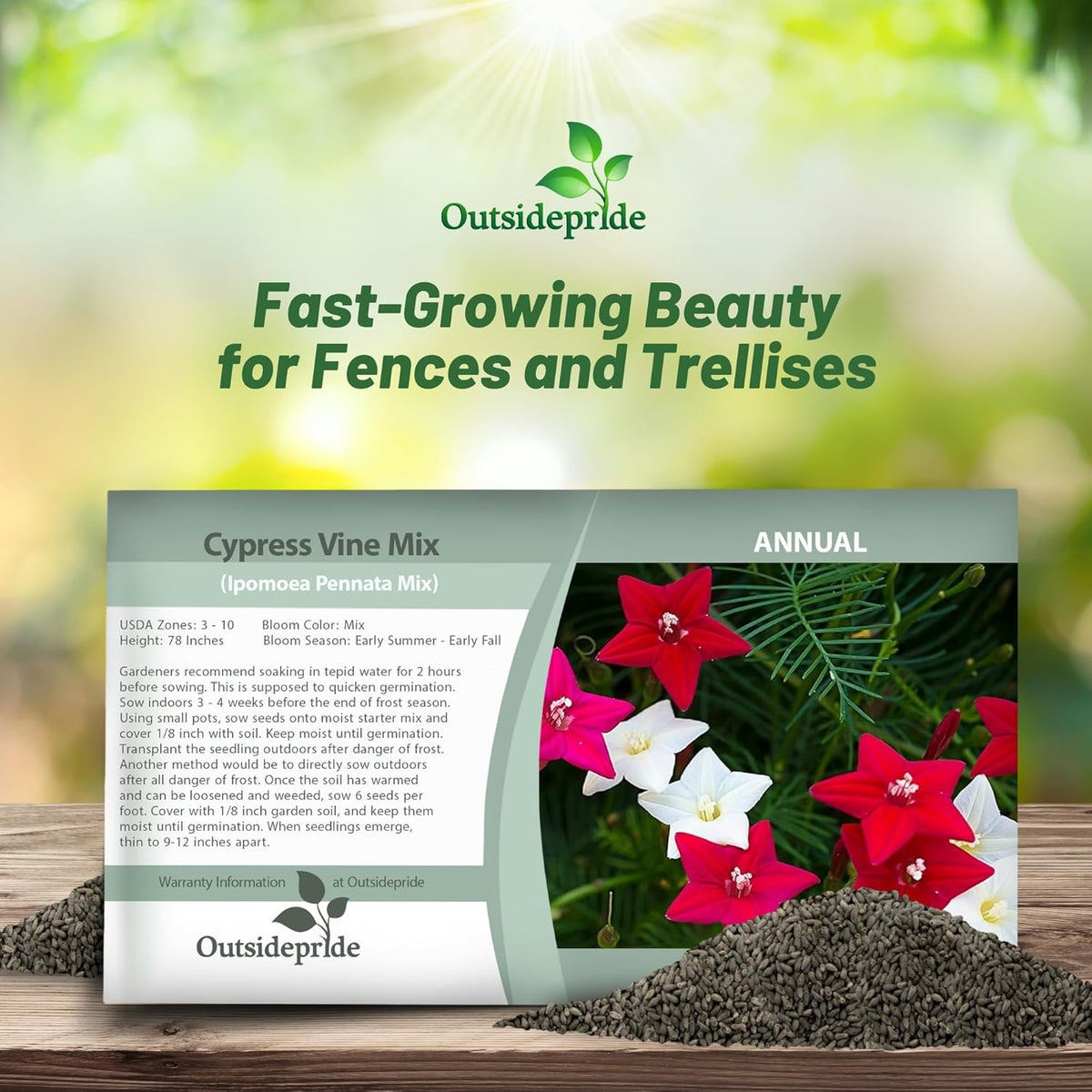 Outsidepride Mixed Cypress Vine Seeds - 100 Pcs Annual Flower Seeds with Nectar-Rich, Star-Shaped Flowers & Feathery, Fern-Like Leaves for Fences, Trellises, Pergolas & Vertical Gardens