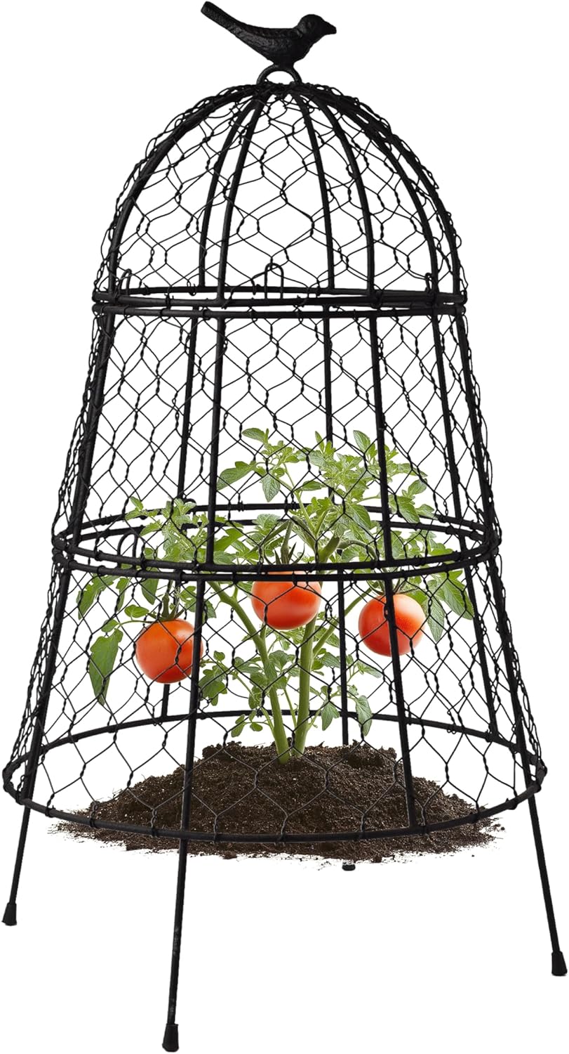 Pack of 6 Heavy-Duty Chicken Wire Plant Cloches – Rustproof Garden Protectors and Plant Cages for Vegetables and Flowers – Safeguard Plants from Deer and Critters – 20” x 12”