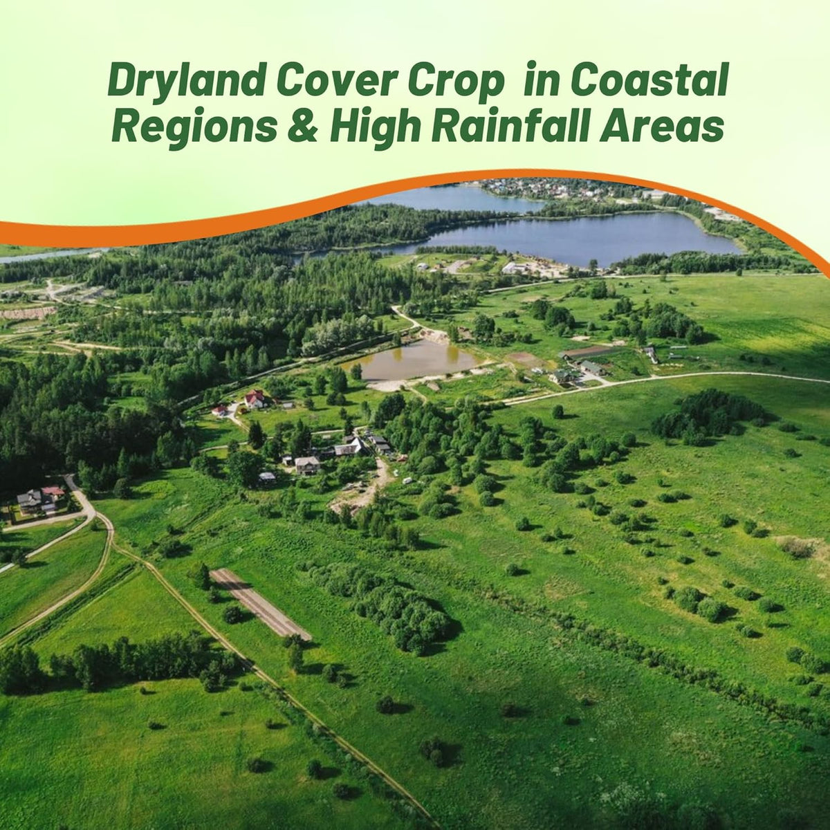 Outsidepride Creeping Red Fescue Grass Seed - 5 Lbs. Cool Season, Soft Textured, Self-Repairing Fine Fescue Grass Seeds for Lawn w/OptiGrowth Coating, Ideal for Dryland Cover Crop & Landscaping