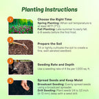 Outsidepride Gardenway Cover Crop Seeds - 25 lbs Nutrient-Rich Seed Mix for Soil Health Improvement & Home Gardens - Mixture of Triticale, Peas, Oats, Vetch, Annual Ryegrass, Crimson Clover