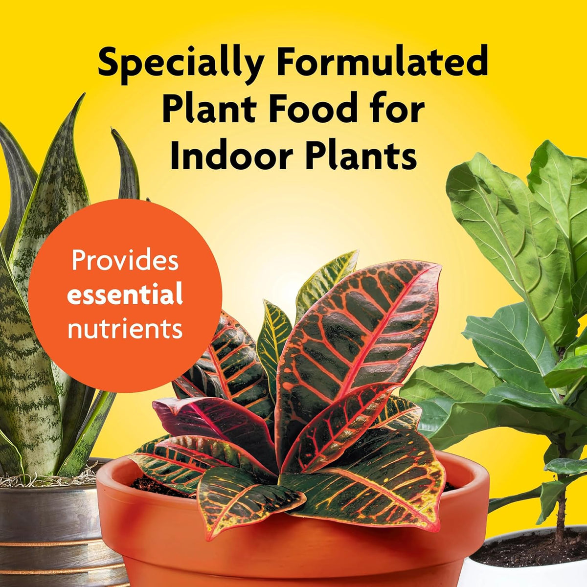 Houseplant Food, 8-oz.