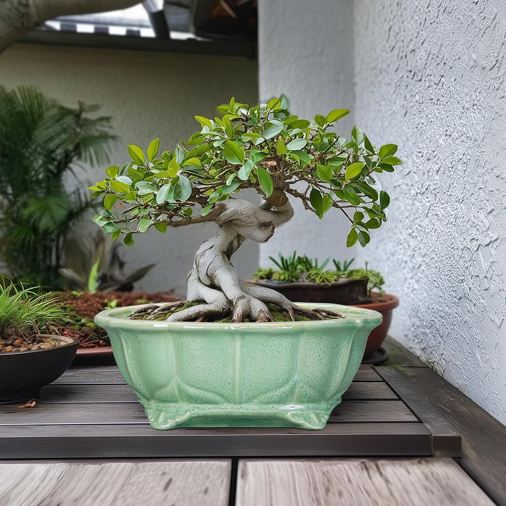 Bonsai Tree Pot - 13.2 Inch Large Ceramic Succulent Planter for Indoor Outdoor, Oval Plant Pot with Drainage Hole, Decorative Flower Pots, Home Decor, Gifts for Plant Lovers, Green