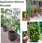 Bamboo Stakes 2FT 35pcs, 24 inch Garden Stakes Multi-Purpose, Bamboo Plant Support Stakes for Beans, Peppers, Flowers, Potted, Maintain The Plant Posture, Strengthen and Stem
