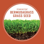Pennington Bermudagrass Grass Seed 15 lb