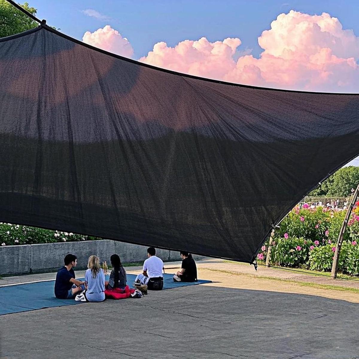 winemana Black Shade Cloth 50%, 8x10 FT Mesh Tarp - Garden Shade for Greenhouse, Patio, Vegetables, Plants Cover and Chicken Coops, Sun Shade Net for Outdoor Protection with Reinforced Grommets