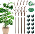 4 Pack 27.56" Detachable Twig Plant Support Stakes Set, Blends in to Plant, Branch Plant Sticks with Orchid Clips Twist Plant Ties, Twig Trellis for Indoor Outdoor Plants Potted Plants Flower