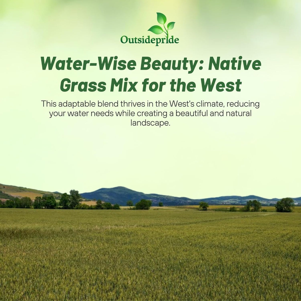 Outsidepride Western Native Grass Seed Mix - 5 lbs. Perennial Blend of Warm & Cool Season, Drought Tolerant Grass Seed for Natural Landscaping w/Wildflower, Soil Health Improvement & Erosion Control