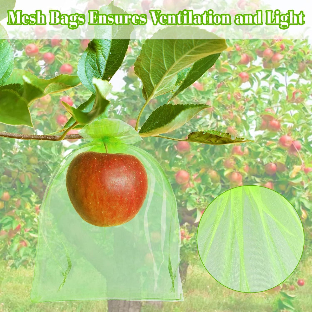 Morcheiong 60Pcs Fruit Protection Bags 8" x 12", Reusable Fruit Netting Bags for Fruit Trees, Garden Netting Mesh Bags with Drawstring (Green)