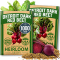HOME GROWN Detroit Dark Red Beet Seeds 2 Pack(Beta vulgaris) 1000+𝗡𝗢𝗡-𝗚𝗠𝗢 𝗨𝗦𝗔 Heirloom Seeds with High Germination – Sweet,Nutrient-Rich Beets for Easy Planting in Garden Beds or Containers