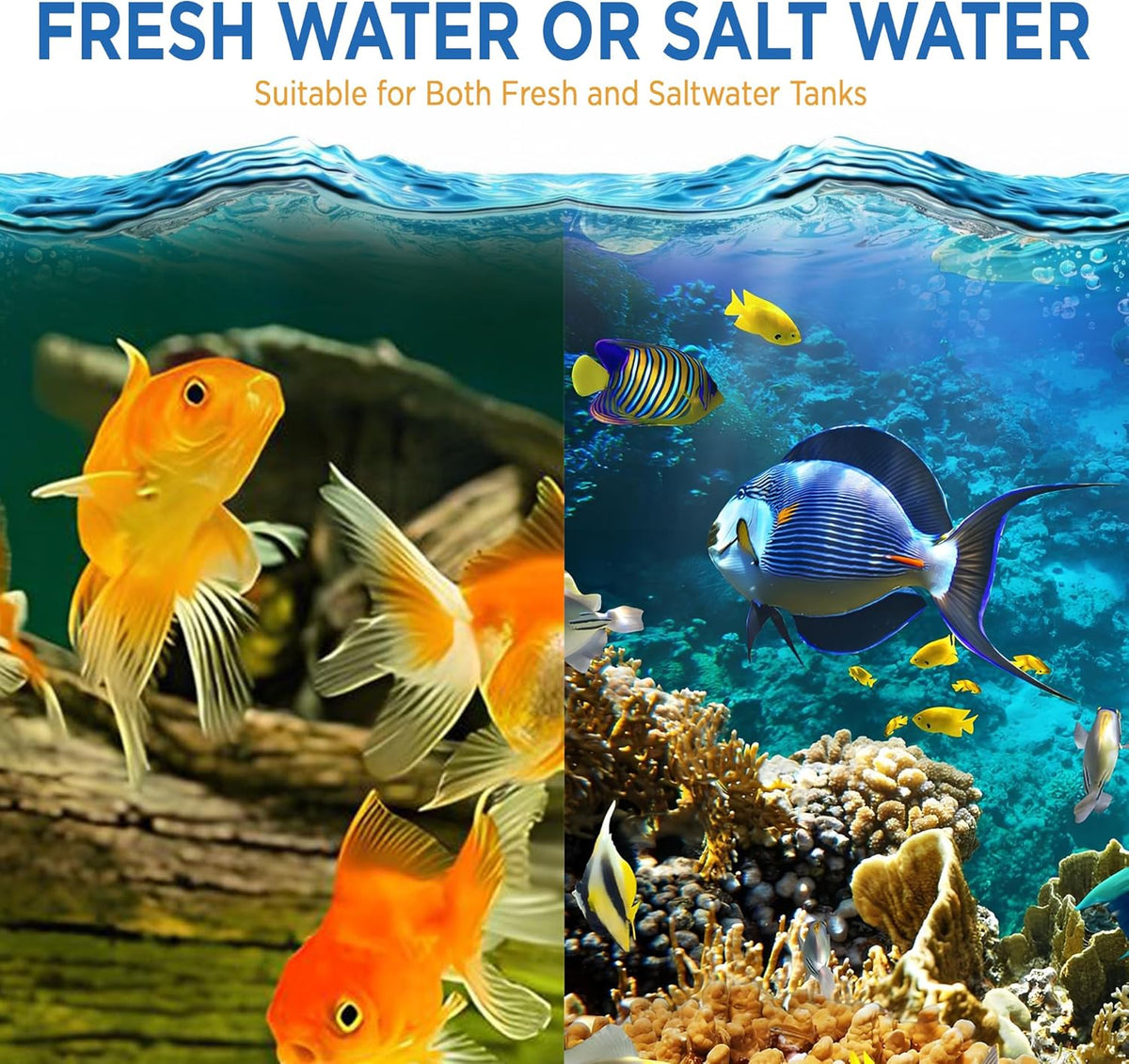 Fish Tank Rocks for Enhancing Water Clarity with Your Regular Cleaning Routine, Fish Friendly Aquarium Rocks, All Natural Aquarium Decor - Large - Covers Upto 3500 Gallons
