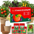 5 Pack Tomato Seeds for Planting - 100+ Heirloom Tomato & Tomatillo Seeds Variety Pack to Grow in Your Home Vegetable Garden, Non-GMO, Complete Gardening Starter Gift