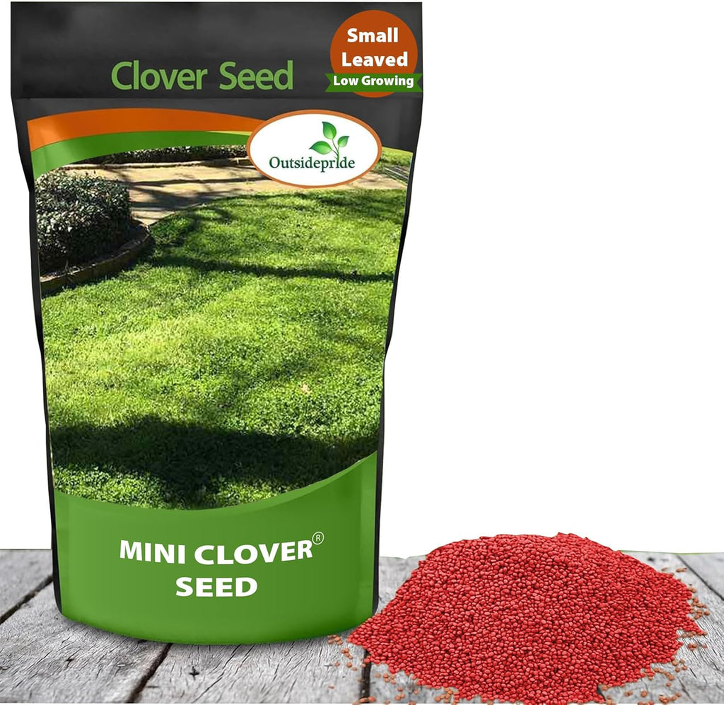 Outsidepride Perennial White MiniClover Seed - 1/4 lb. Dwarf, Small-Leaved, Drought & Wear-Tolerant Micro Clover Seeds for Lawn, Ideal Low-Maintenance & Easy to Grow Ground Cover Seeds for Home Yard
