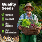 HOME GROWN 12 Fall Vegetable Seeds 6,000+ 𝗨𝗦𝗔 Heirloom 𝗡𝗢𝗡-𝗚𝗠𝗢 Seeds for Fall & Winter Planting – Beets, Broccoli, Cabbage, Kale, Onion, Pumpkin, Turnip, Lettuce, Peas & More for Home Garden