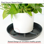 NIMYAU Plant Saucer 6 Inch 4 Pack,Thick Plastic with Raised Center Design Plant Saucers 8 10 12 14 17, Superior Drainage Drip Tray for Indoor Outdoor Planters (6 inch)