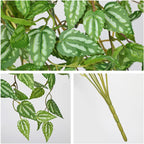 DILATATA Fake Hanging Plants Artificial Hanging Plants 22" Faux Peperomia Hanging Leaves Plants for Wall Shelf Home Indoor Outdoor Decor - 5 Pack