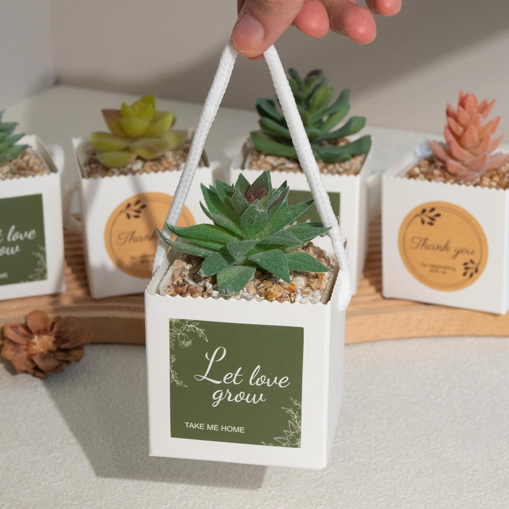 Temlum 2.5 Inch Succulent Wrap Bags (Fits 2.5″ Pots) with Thank You & Let Love Grow Stickers, Succulent Gift Box for Wedding, Baby Shower, Succulent Party Favors for Guests (White 40pcs)