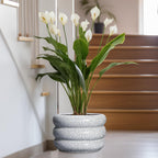 SQOWL Ceramic Plant Pots - 13.5 Inch Ceramic Planter with Drainage Hole, Large Round Planter for Indoor Plants, Modern Flower Pots Outdoor, Office Living Room Decor, Birthday Gifts, Black and White