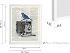 Poster Master Dictionary Art Poster - Antique Camera Print - Bird Art - Photography Art - Gift for Men, Women & Photographer - Chic Decor for Living Room, Bedroom or Office, 11x14 White Framed