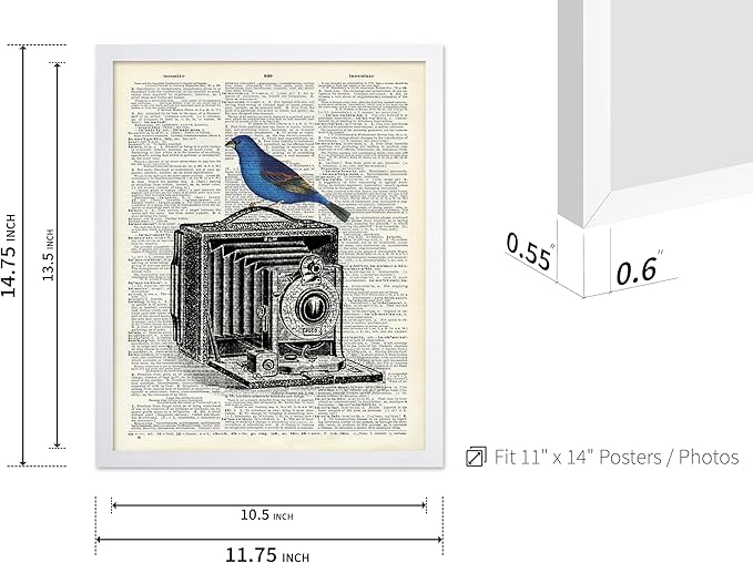Poster Master Dictionary Art Poster - Antique Camera Print - Bird Art - Photography Art - Gift for Men, Women & Photographer - Chic Decor for Living Room, Bedroom or Office, 11x14 White Framed