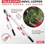 TABOR TOOLS GG22A Telescopic Extendable Anvil Lopper with Compound Action, 27-40 Inch Telescopic Tree Trimmer, Long Handled Branch Cutter with ⌀ 2 Inch Cut Capacity, Chops Thick Branches with Ease.
