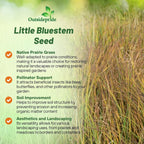 Outsidepride Perennial Little Bluestem Grass Seed - 1 lb. Warm Season, Drought Resistant, Long-Lived Native Prairie Grass Seed, Ideal for Erosion Control, Ornamental Landscaping & Wildlife Gardens