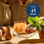 PartyLite Raw Honey & Elderberry Scented, Notes of Alpine Elderflower, Soft Jasmine & Golden Amber, 13.2oz 3-Wick Jar Candle, 45 Hour Burn Time, Luxurious Fragrance, Ideal for Gifting