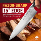 KANKA 10-inch 67 Layers Damascus Steel Profesional Chef Knife - Extra Long, G10 Black Fiberglass Handle, Razor Sharp Knife. Wood Sheath Included.