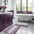 BSICPRO Bathroom Rugs and Mats Sets, 2 Piece Thick Absorbent Chenille Bath Mat Rug Set Non Slip, Soft Shaggy Bath Room Floor Mats for Bathroom, Machine Washable (Mauve Wine, 20" x 32" Plus 16" x 24")