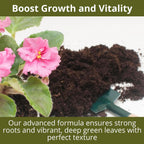 3-1-2 African Violet Fertilizer for Indoor Plants: Liquid Fertilizer with Essential Micronutrients Drops - Plant Food for African Violets (32 OZ)