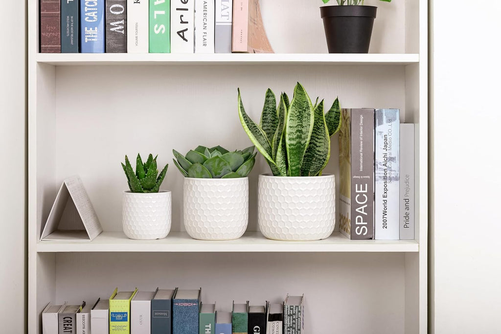 Docrin Plant Pots Indoor with Drainage: 6.4+5.3+4 Inch Ceramic Flower Pots for Plants - Set of 3 Modern Decorative Planters for House/Office/Gift - White Honeycomb