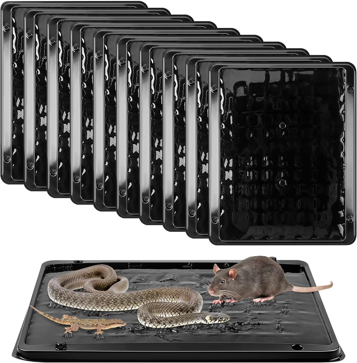 Qualirey 10 Pack Jumbo Rat & Mouse Glue Traps, 11.8 X 9.84 in Large Heavy Duty Mouse Traps Indoor for Home, Pre Scented Adhesive Plastic Tray with for Spider, Snake, Mice, Kids and Pet Safe (Black)