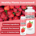 Strawberry Fertilizer for Fruit and Berry Gardens, Liquid Plant Food, 1 Gallon (128 oz)