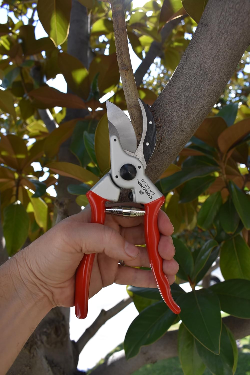 Corona BP 6250 Forged Steel Aluminum Handles Bypass Hand Pruner - 1 inch Cut Capacity Stem and Branch Garden Shears, Red