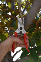 Corona BP 6250 Forged Steel Aluminum Handles Bypass Hand Pruner - 1 inch Cut Capacity Stem and Branch Garden Shears, Red