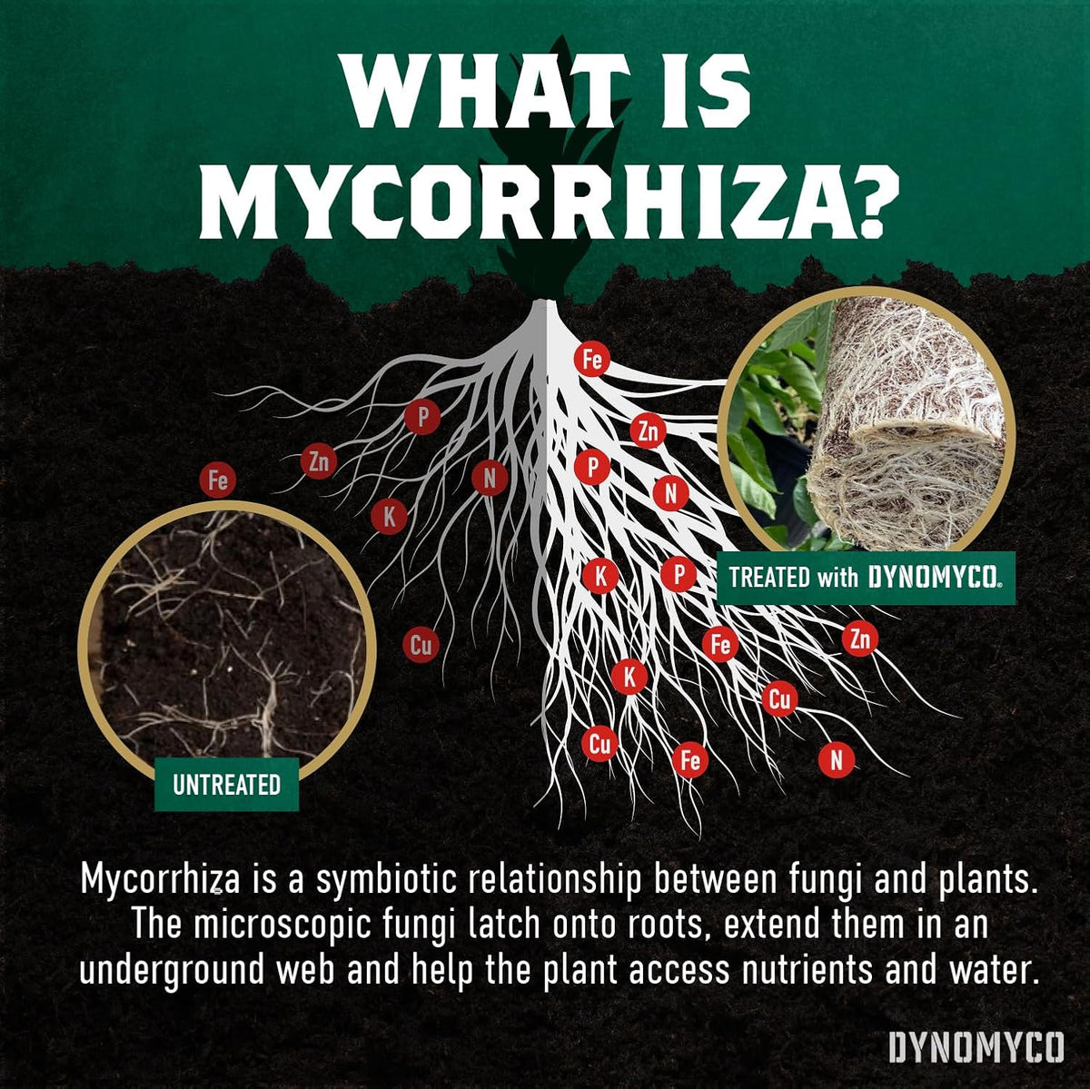DYNOMYCO Mix 4-in-1 Mycorrhizal Grow Kit for Bigger Yields & Healthier Plants - Includes Concentrated Mycorrhizae, MHB & Bio-stimulants, Premium Coco Coir, and Biodegradable Grow Bags