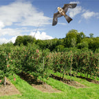 Bird Hawk Flying Kite with Pole Crops Farm Protector Bird Scarer Flying Kite with 4m Pole-Style B