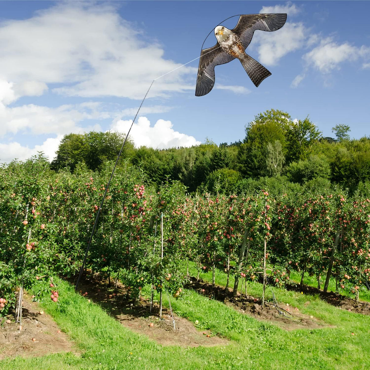 Bird Hawk Flying Kite with Pole Crops Farm Protector Bird Scarer Flying Kite with 4m Pole-Style B