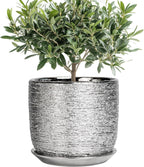 Ceramic Pot for Plants 8 Inch - Ceramic Flower Pot Indoor with Drainage Hole and Saucer, Decorative Round Indoor Planter, Plant Lover Gifts, Patio Home Office House Decor, Silver