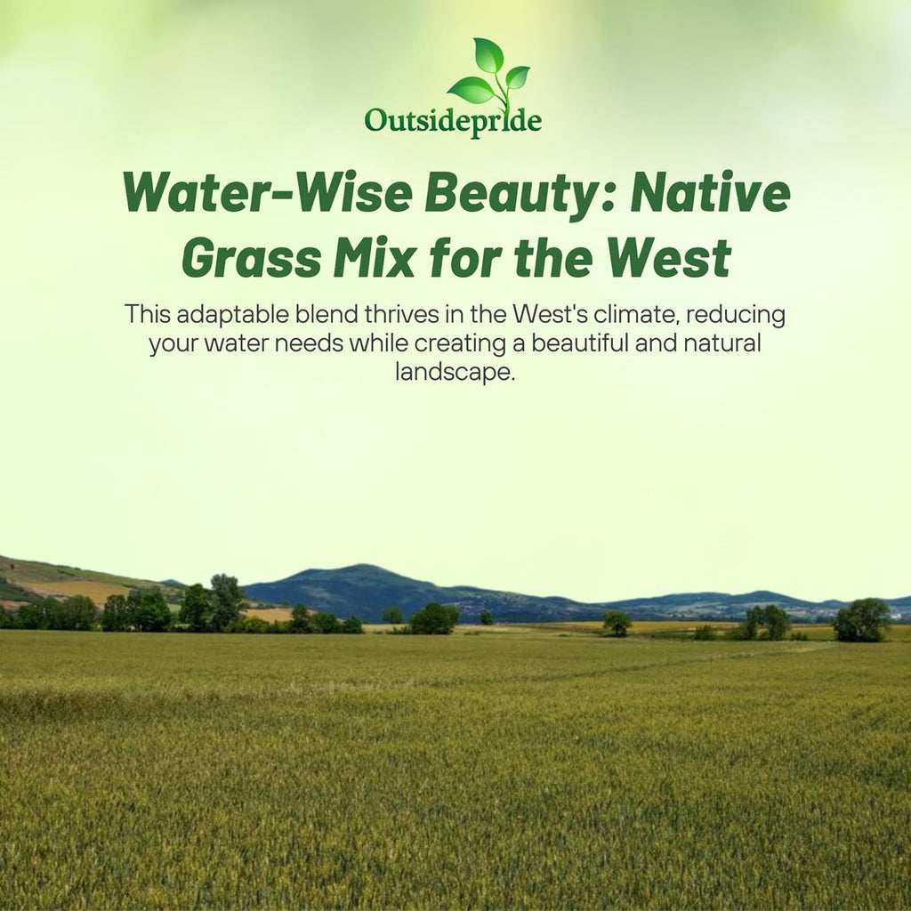 Outsidepride Western Native Grass Seed Mix - 25 lbs. Perennial Blend of Warm & Cool Season, Drought Tolerant Grass Seed for Natural Landscaping w/Wildflower, Soil Health Improvement & Erosion Control