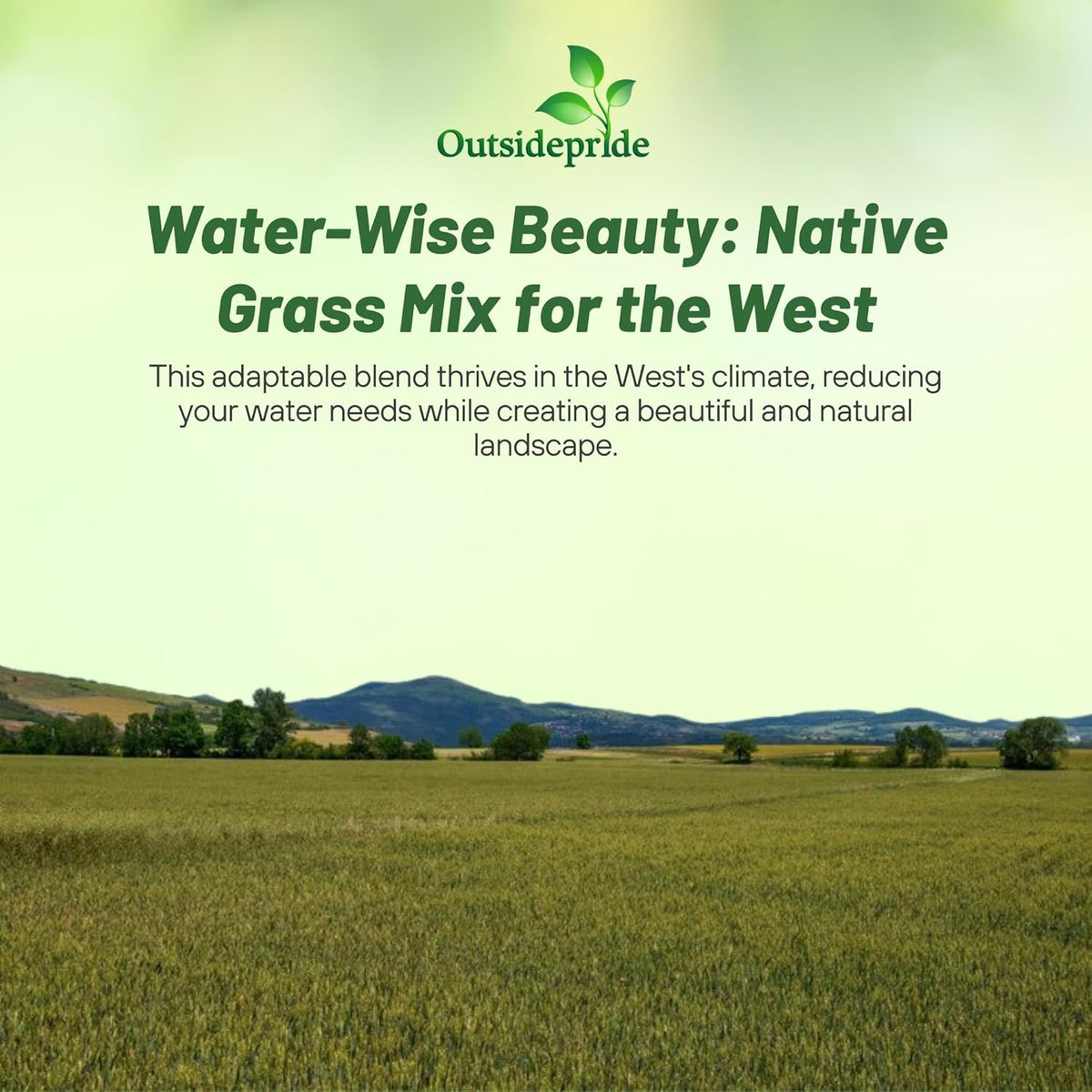 Outsidepride Western Native Grass Seed Mix - 25 lbs. Perennial Blend of Warm & Cool Season, Drought Tolerant Grass Seed for Natural Landscaping w/Wildflower, Soil Health Improvement & Erosion Control