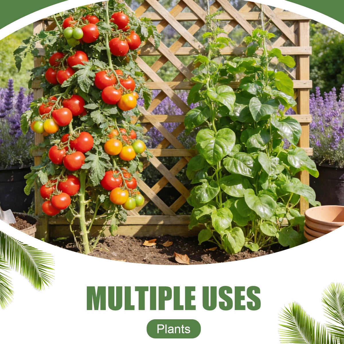 Ahrltim 984FT Total (2 Rolls, 492FT Each) Garden Twist Ties with Cutter, Plant Ties for Tomatoes & Vines, Reusable Garden Ties for Gardening, Cable Management & Home Organization