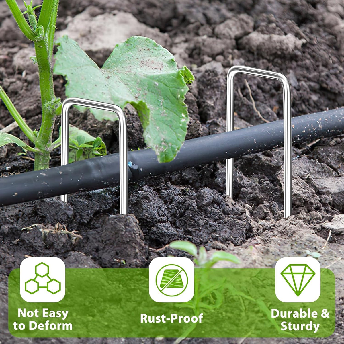 Landscape Staples 8 Inch, 100 Pack 8 Gauge Galvanized Garden Staples U-Shaped Landscape Stakes, Heavy Duty Ground Stakes for Outdoor Decorations, Weed Barrier Fabric, Irigation Tubing, Tent