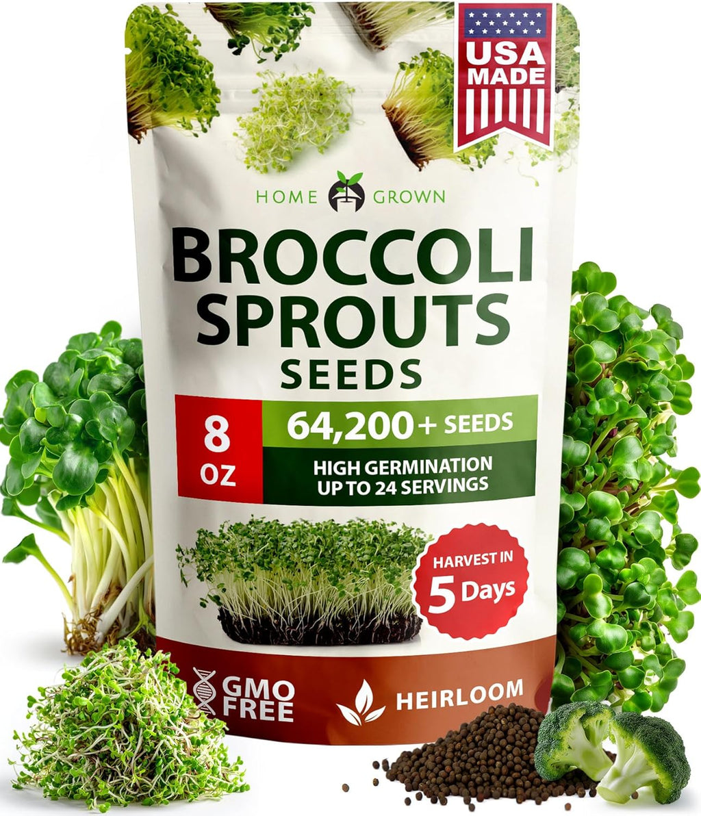 HOME GROWN Broccoli Seeds 8 oz - for Sprouting or Microgreens 𝗡𝗢𝗡-𝗚𝗠𝗢 𝗨𝗦𝗔-𝗦𝗢𝗨𝗥𝗖𝗘𝗗 High Germination Sprout Seeds Nutritious Micro Greens - Broccoli Sprouts in 5 days - Sulforaphane Rich