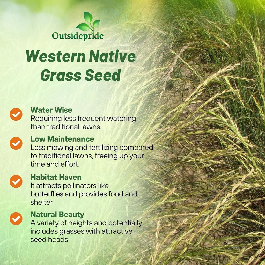 Outsidepride Western Native Grass Seed Mix - 25 lbs. Perennial Blend of Warm & Cool Season, Drought Tolerant Grass Seed for Natural Landscaping w/Wildflower, Soil Health Improvement & Erosion Control