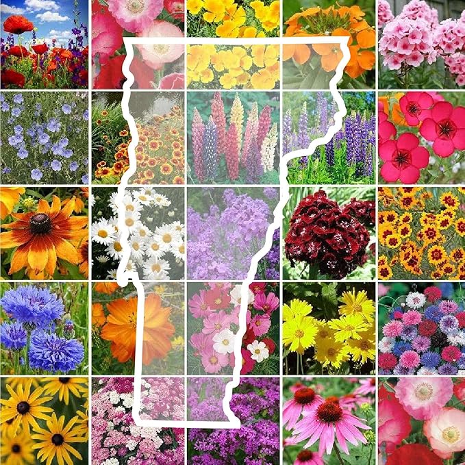 Eden Brothers Vermont Wildflower Mixed Seeds for Planting, 1/4 lb, 120,000+ Seeds with Cosmos, Cornflower | Attracts Pollinators, Plant in Spring or Fall, Zones
