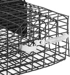 Rugged Ranch 2-Pack Chipmunkinator Multi-Catch Chipmunk Trap, Wire Cage, 14.5"x4"x14.5" Each - Live Catch-and-Release, 2-Door Humane Rodent Control, No-Poison Outdoor Use