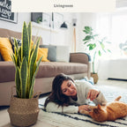 KOL 25.6’’ 2-Pack Artificial Snake Plant, Mother in Law Tongue Plants, 2ft Fake Sansevieria Indoor, 32 Realistic Leaves in Pot, Home Office Hotel Garden Corner Decor, Yellow