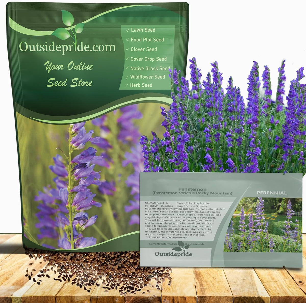 Outsidepride Penstemon Seeds - 1 Lb. Perennial, Drought-Tolerant & Pollinator Friendly, Strictus Rocky Mountain Wildflower Seeds for Planting with Vibrant Blue-Violet Blooms, Ideal for Xeriscaping