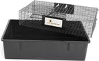 Rugged Ranch 2-Pack Ratinator Indoor or Outdoor Multi-Catch Rat Trap - Humane Live Cage Catcher, Rodent Control for Homes, Barns, Attics, Garages, Sheds, Gardens and Farms
