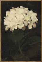 InSimSea Framed Wall Art - Large Canvas Prints for Living Room, Bedroom, Bathroom, Kitchen & Office Decor - White Hydrangea Oil Painting - 16x24in